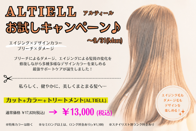 ☆ALTIELL(アルティール)お試しキャンペーン☆