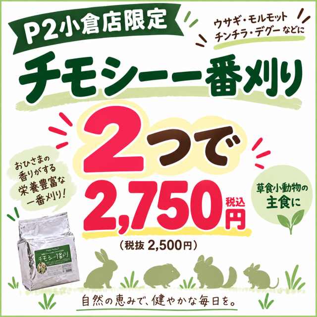 チモシー1番刈りSALE